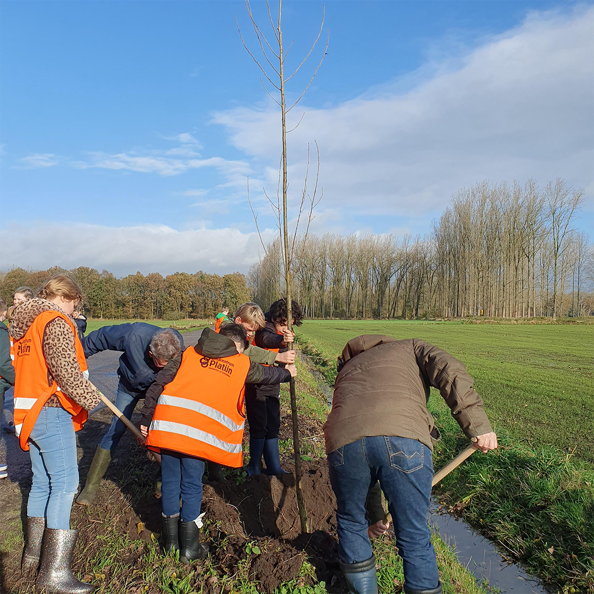 Wethouder Rik Dijkhof plant samen met kinderen van Kindcentrum Platijn een nieuw bomen aan de Kanterseveldenweg.